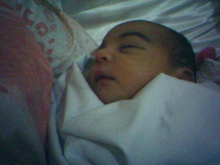 chouchou dialy ztdr aufond